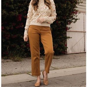 Everlane Straight Leg Crop in Cocoa 2